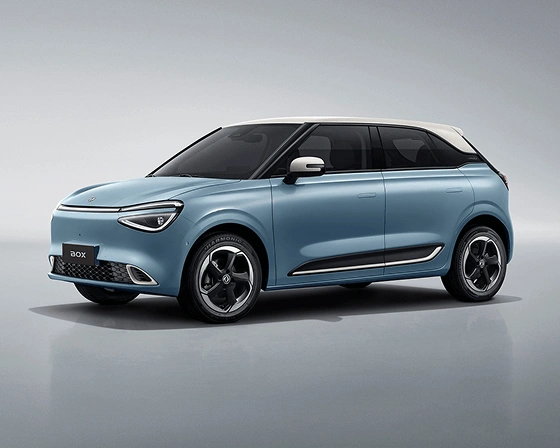Bok in platišča modrega vozila Dongfeng Box